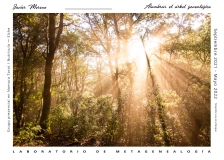 LABORATORIO DE METAGENEALOGÍA. Alumbrar el Árbol Genealógico